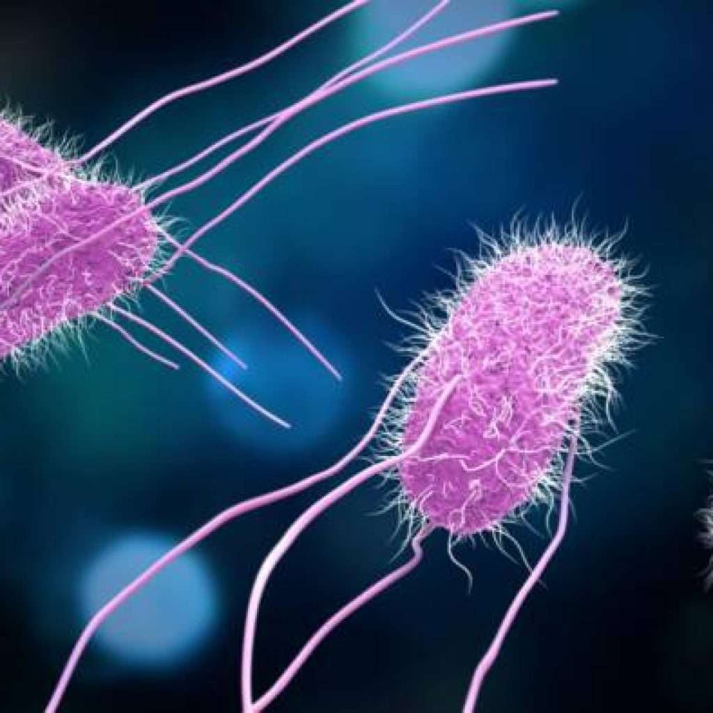 atencao:-37-estados-com-surto-de-infeccoes-por-salmonella-relacionadas-as-cebolas-e-new-jersey-esta-entre-eles