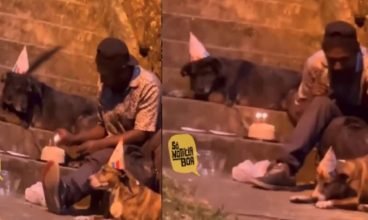 Vídeo muda vida de rapaz que comemorou aniversário com cães