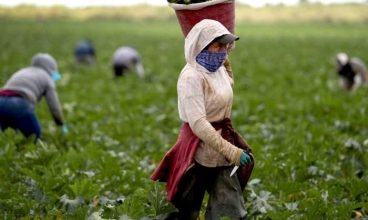 Trabalhadores agrícolas de Orlando se unem ao protesto em defesa dos imigrantes