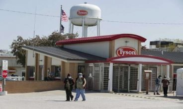 Atenção: EUA detectam gripe aviária altamente letal em frangos da Tyson Foods