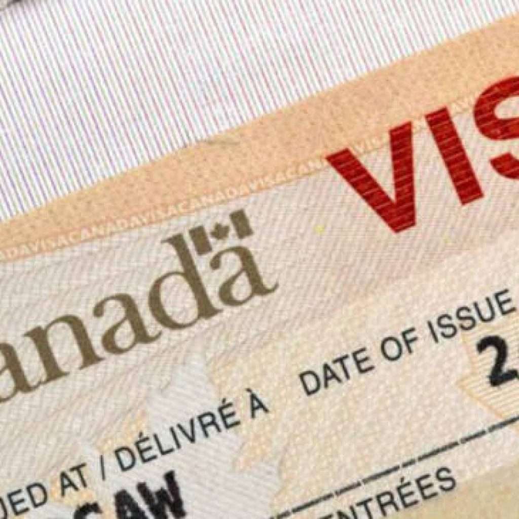 canada-recruta-pela-internet-brasileiros-para-trabalhar-no-pais.-saiba-como-funciona-o-processo