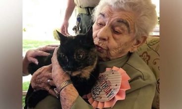 Asilo realiza sonho de vovó de 103 anos e a presenteia com gatinha