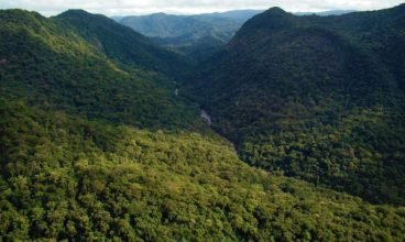 Descubra os melhores parques públicos dos EUA além do Central Park – Brasil Unidos