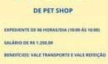 VAGAS ABERTAS PARA RECEPCIONISTA DE PET SHOP 
 Confira:  E CLICK NA PG:02