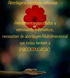 Rose Clinical Counselor
