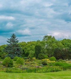 LG Family Gardens LLC