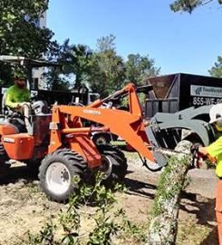 Tree Work Now Inc