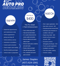 Auto Pro Detailing LLC