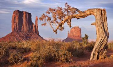 Verão ou Inverno: Quando é o Melhor Momento para Explorar Utah?